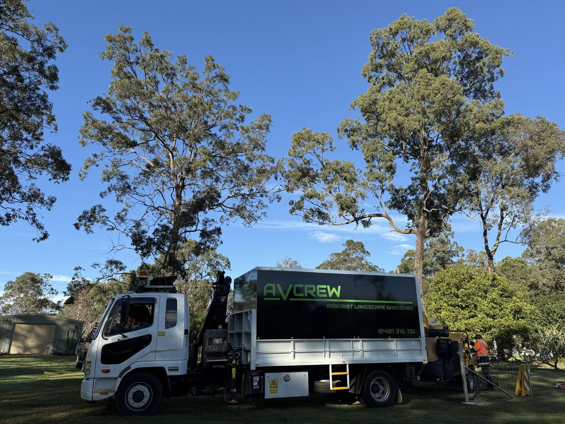 A Man Is climbing inbetween two trees to cut it— Alex's Vegetation in Port Macquarie, NSW