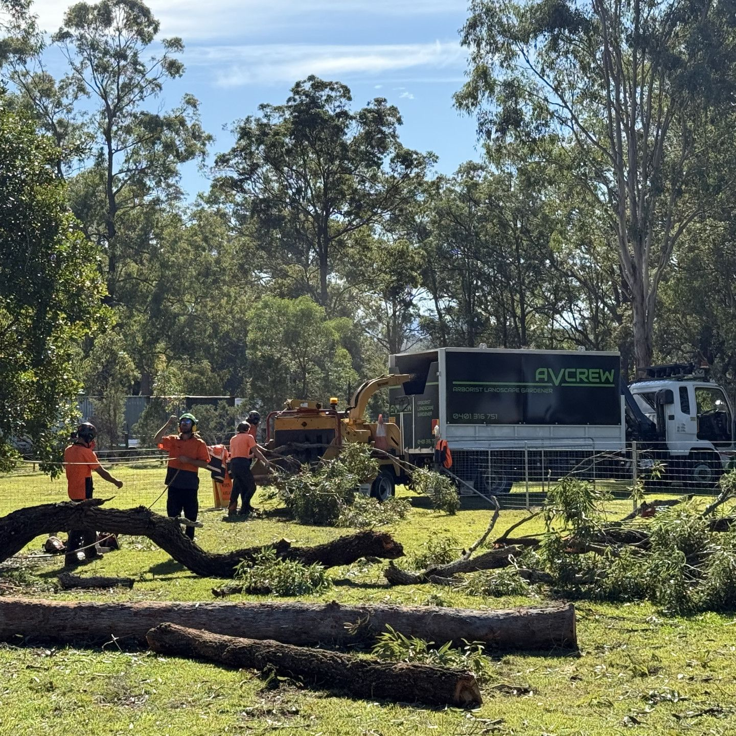 Crew working on a cut down tree — Alex's Vegetation in Port Macquarie, NSW