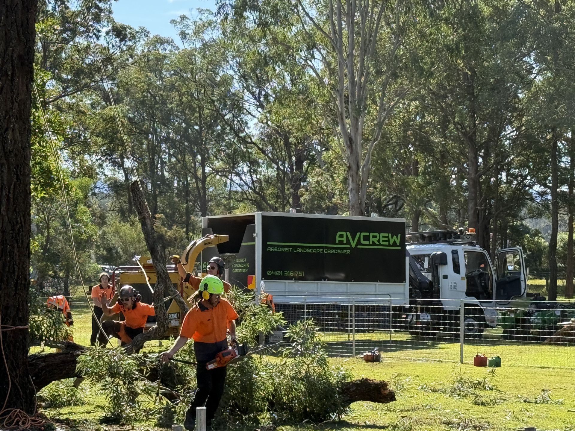 tree being removed by crew  — Alex's Vegetation in Port Macquarie, NSW