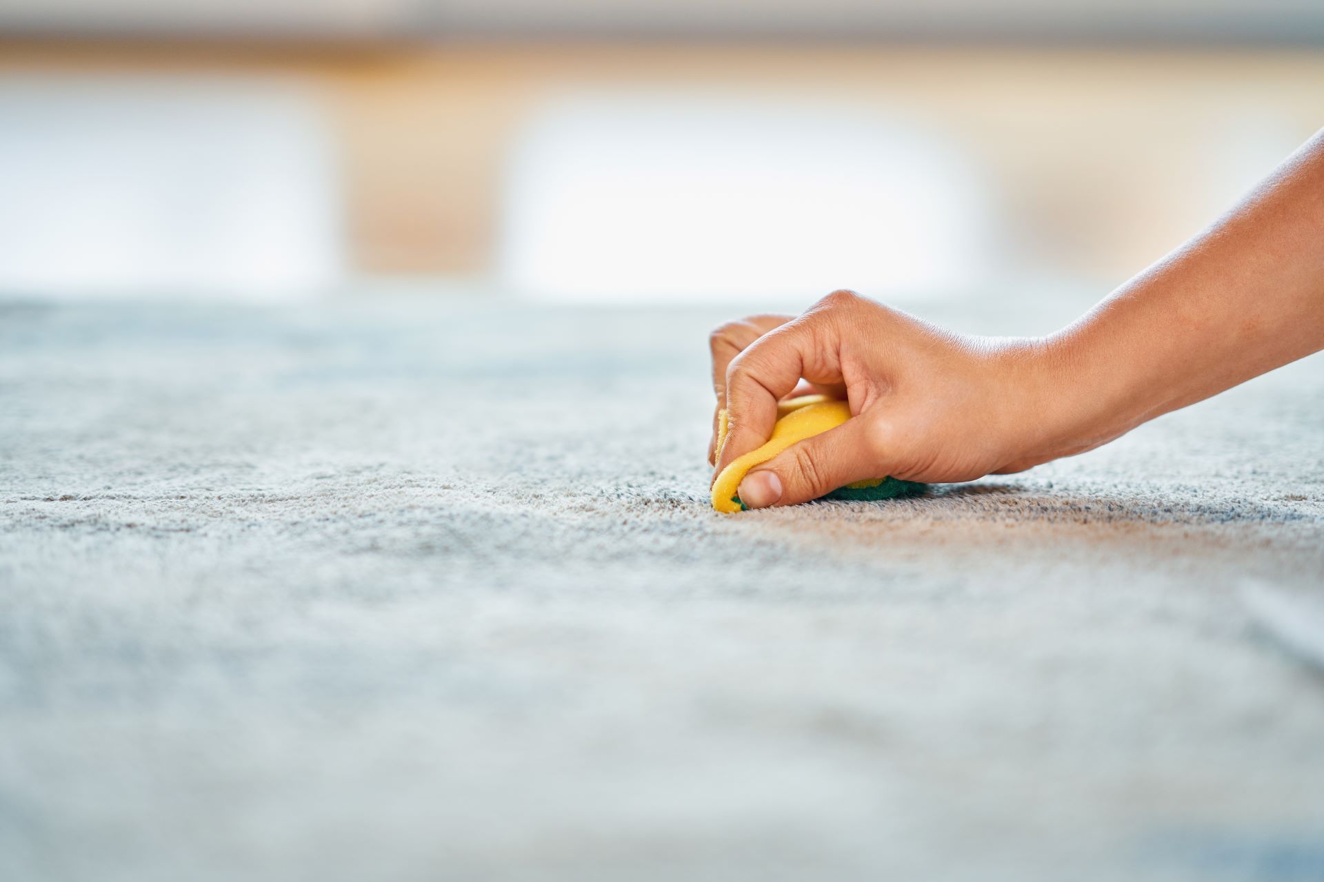 hand scrubbing pet stain out of carpet