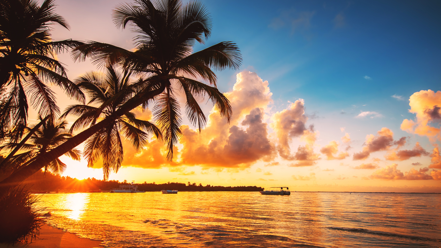 The sun is setting over the ocean with palm trees in the foreground.