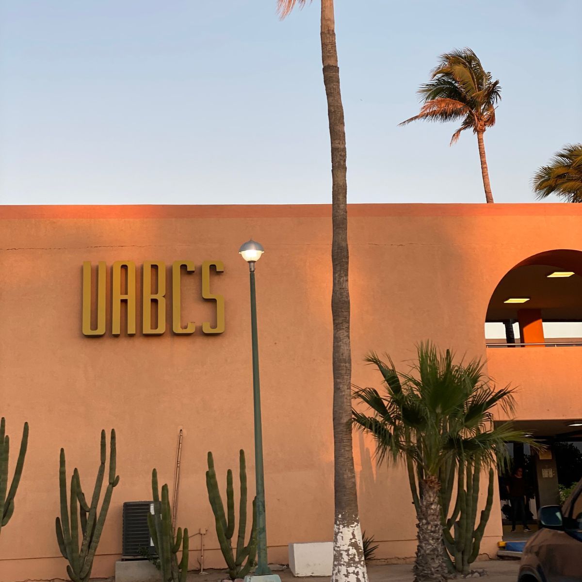 UABCS campus building with orange stucco walls, cacti, palm trees, and a lamp post at sunset