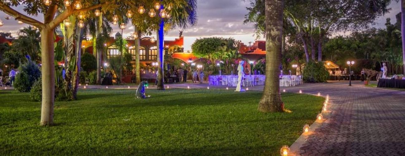 A path in a park with trees and lights on it.