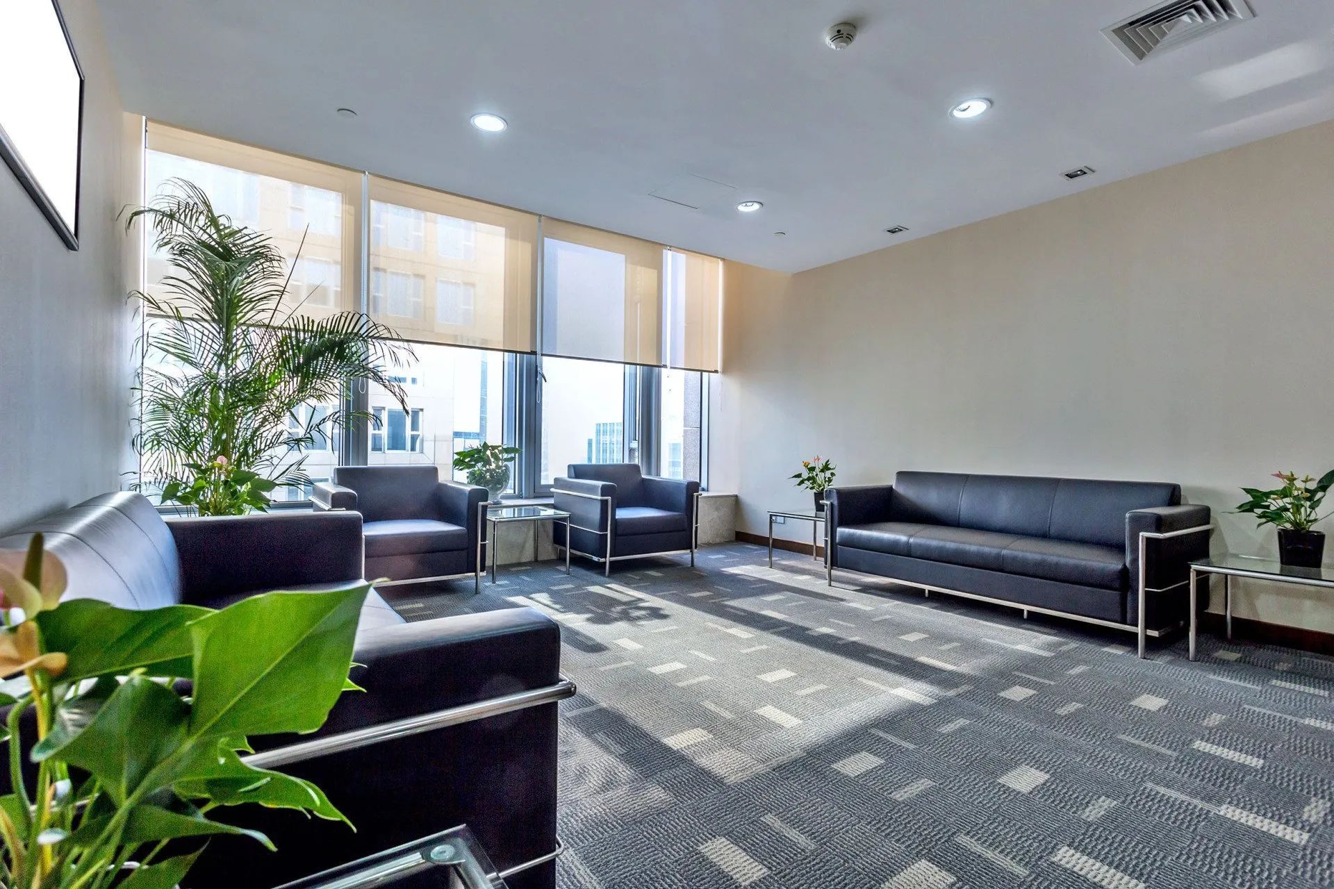 A living room with a couch , chairs , and a plant.