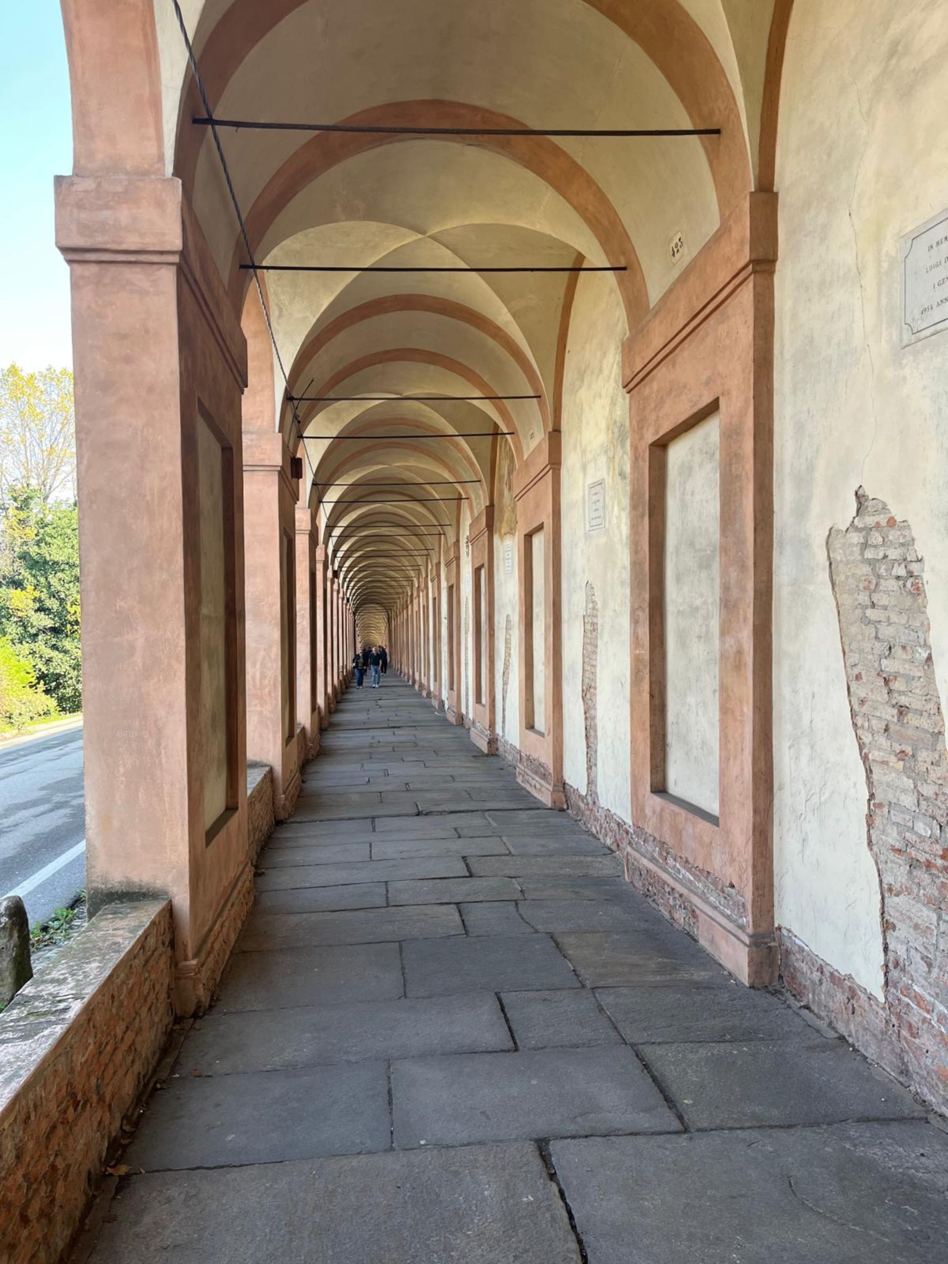 Iniezioni cementizie camminata san luca - DrillGeosystem 0547 698013