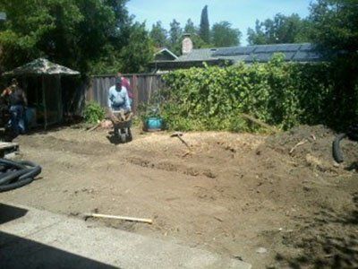 Before