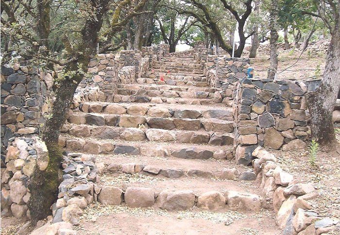 Stairway Landscape