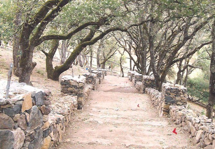 Stone Path Landscape