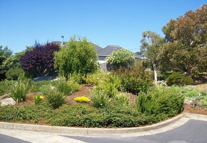 Garden Landscape
