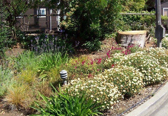 Garden Features
