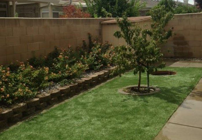 Landscaped backyard with green lawn, young tree, flower bed, and brick wall