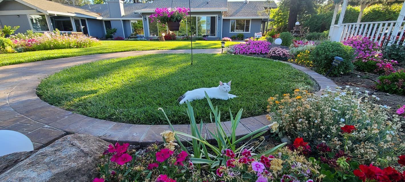 Curved garden path around a green lawn, with colorful flowers and a house in the background