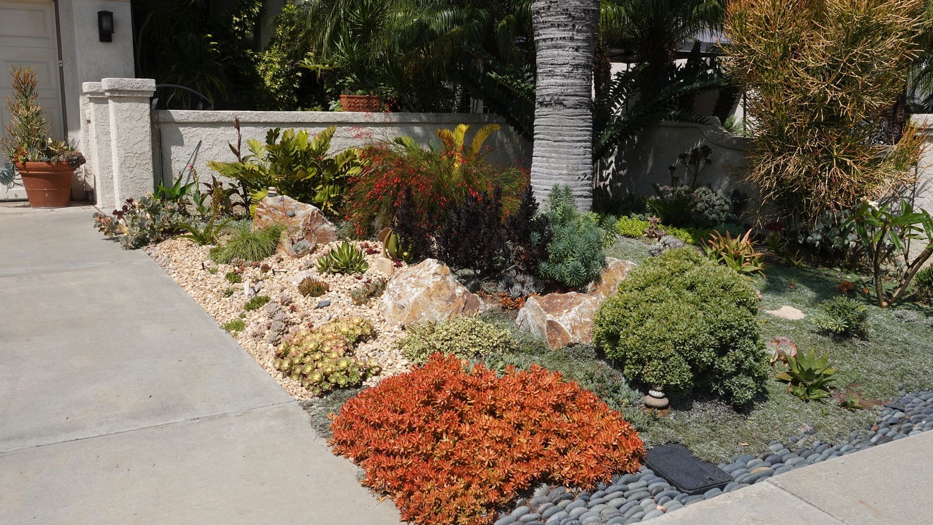 Front yard landscaping with colorful drought-tolerant plants along a concrete walkway