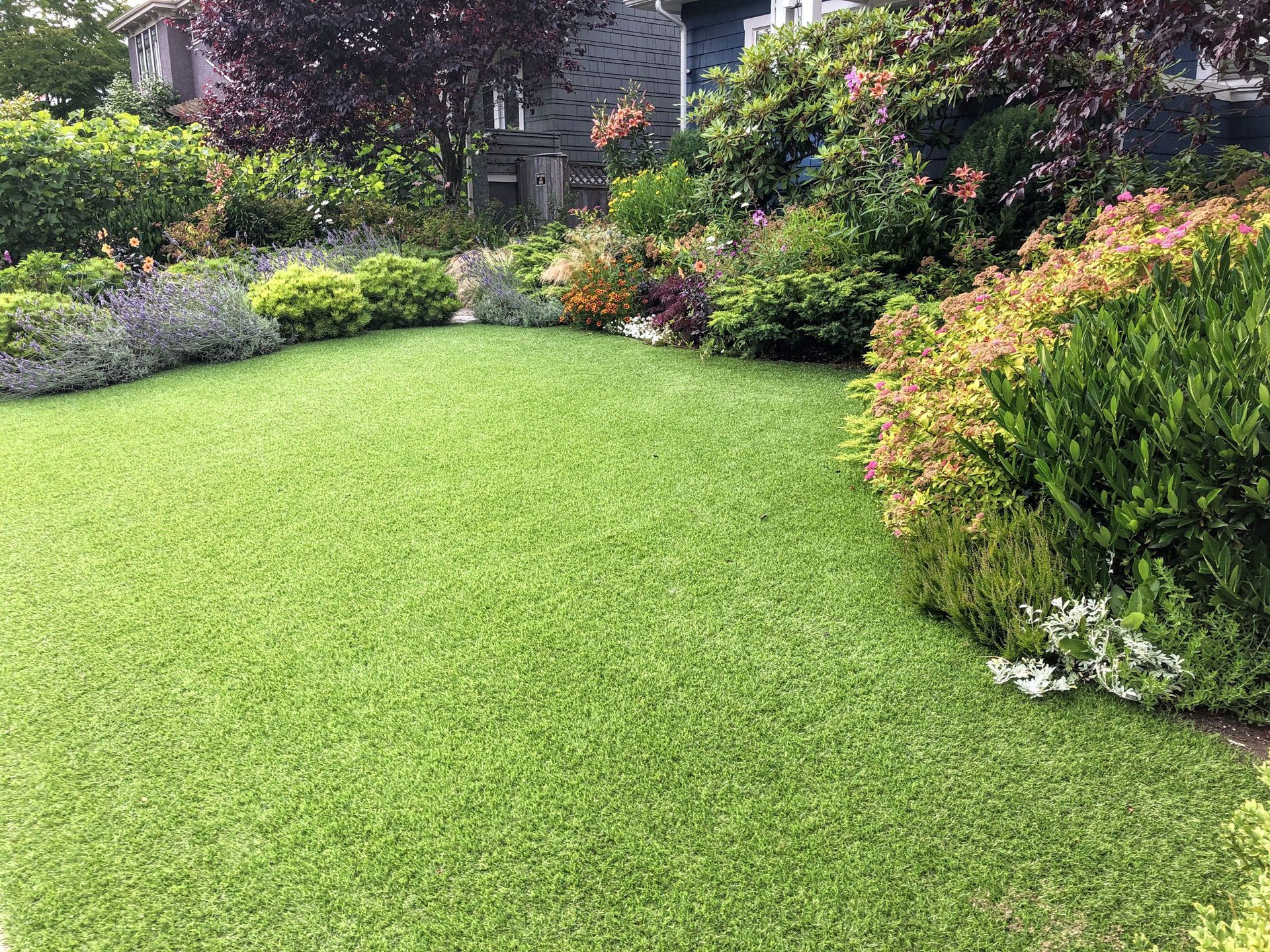 Lush green lawn bordered by colorful shrubs and flowers in a landscaped garden.