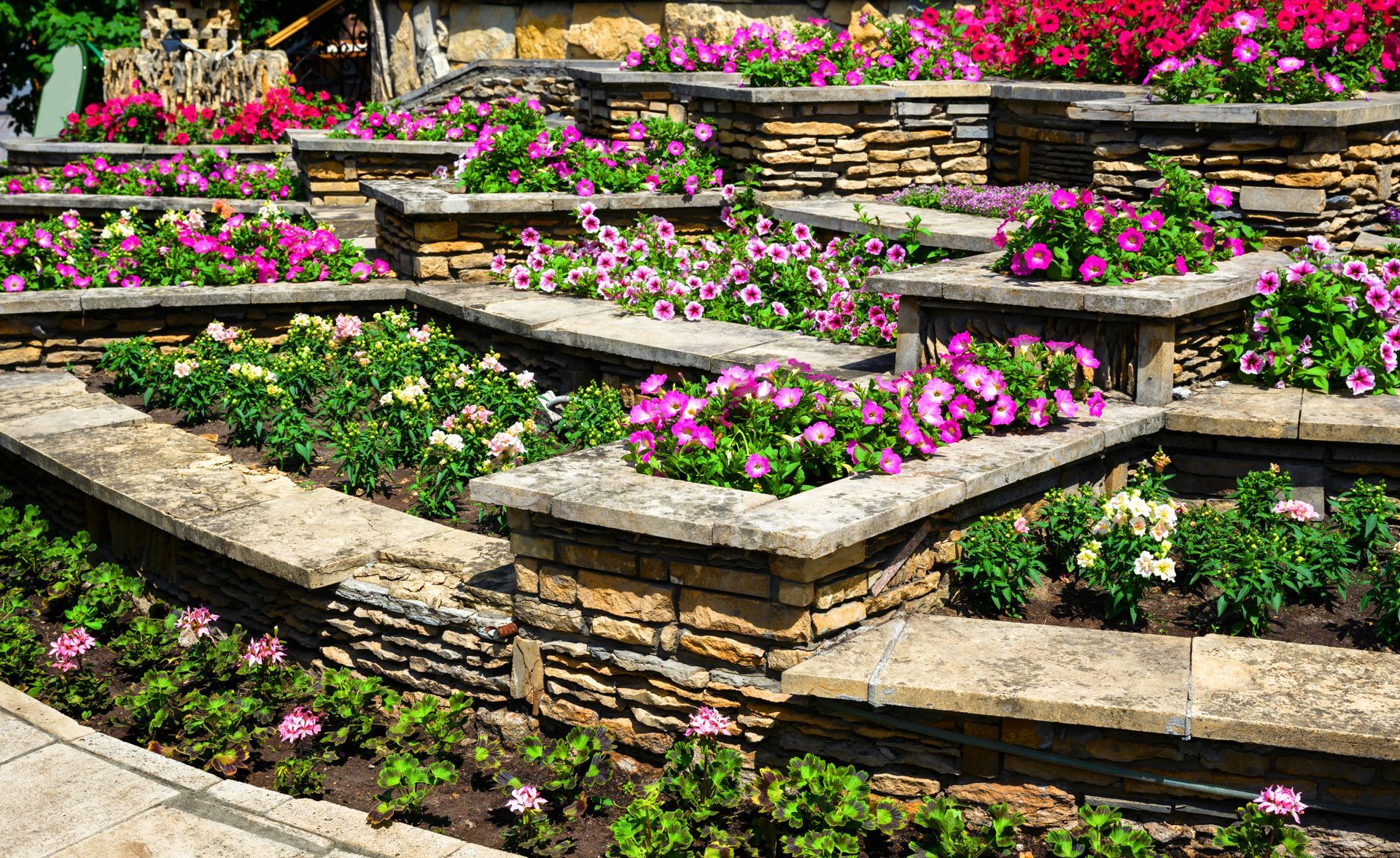 Stone terraced garden beds filled with pink and purple flowers and green foliage