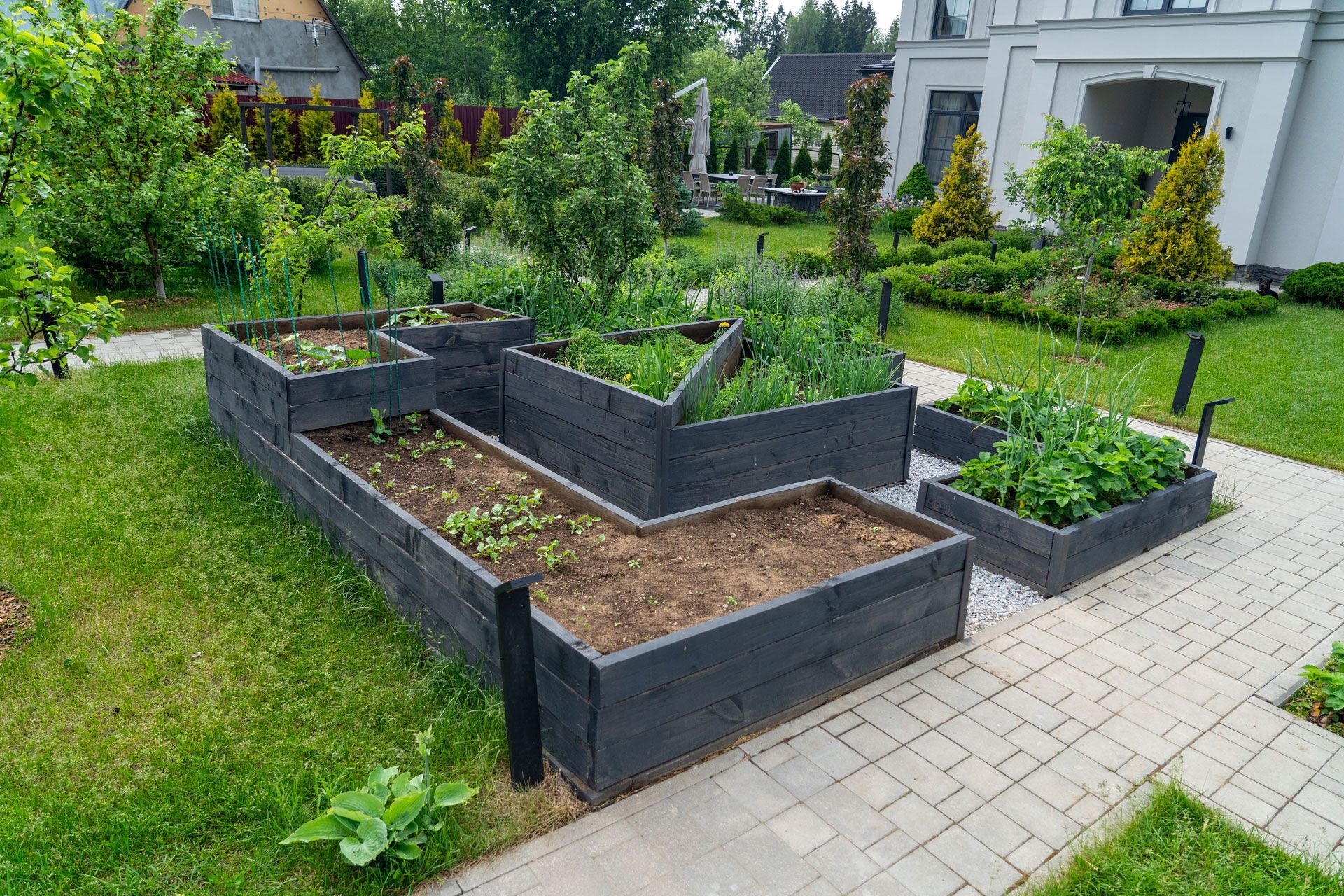 Raised black garden beds beside a paved path in a green backyard garden
