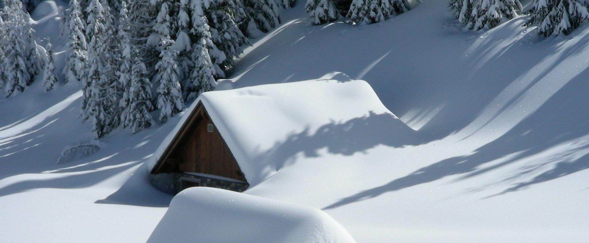Two houses covered in snow with trees in the background