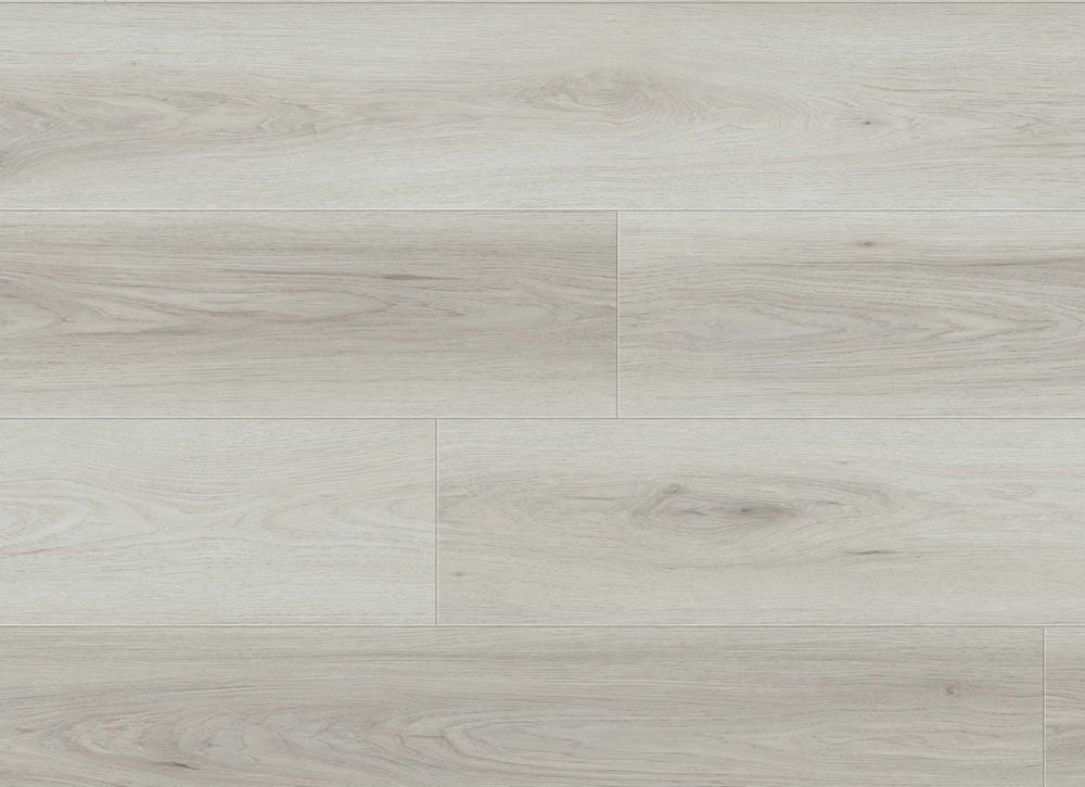 L05006