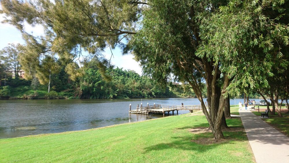 Green Riverside Park With a Walking Path, Trees, and a Wooden Dock — NRS Scaffolding Pty Ltd in Kempsey, NSW