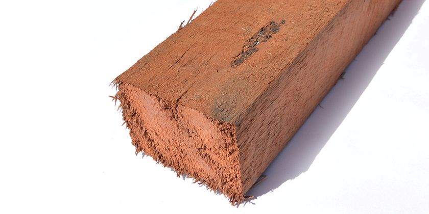 A close up of a piece of structural timber on a white surface — Machin's Sawmill Pty Ltd In Wingham, NSW