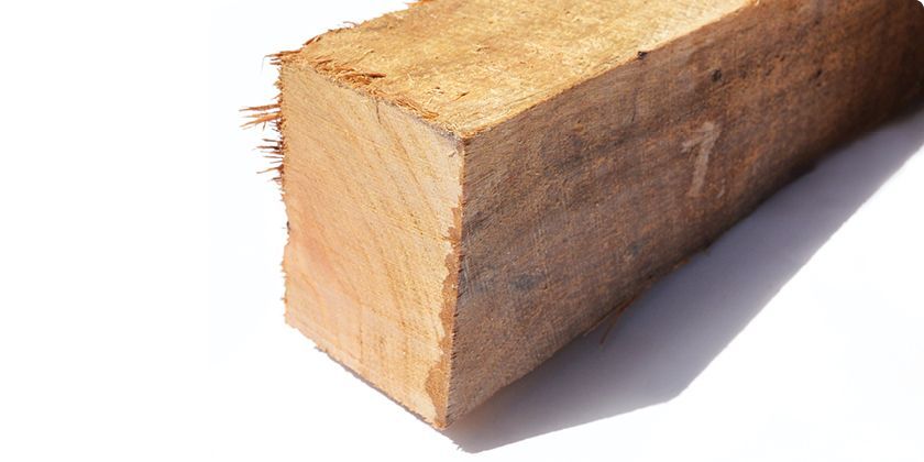 A Piece Of Wood Is Sitting On A White Surface — Machin's Sawmill Pty Ltd In Wingham, NSW