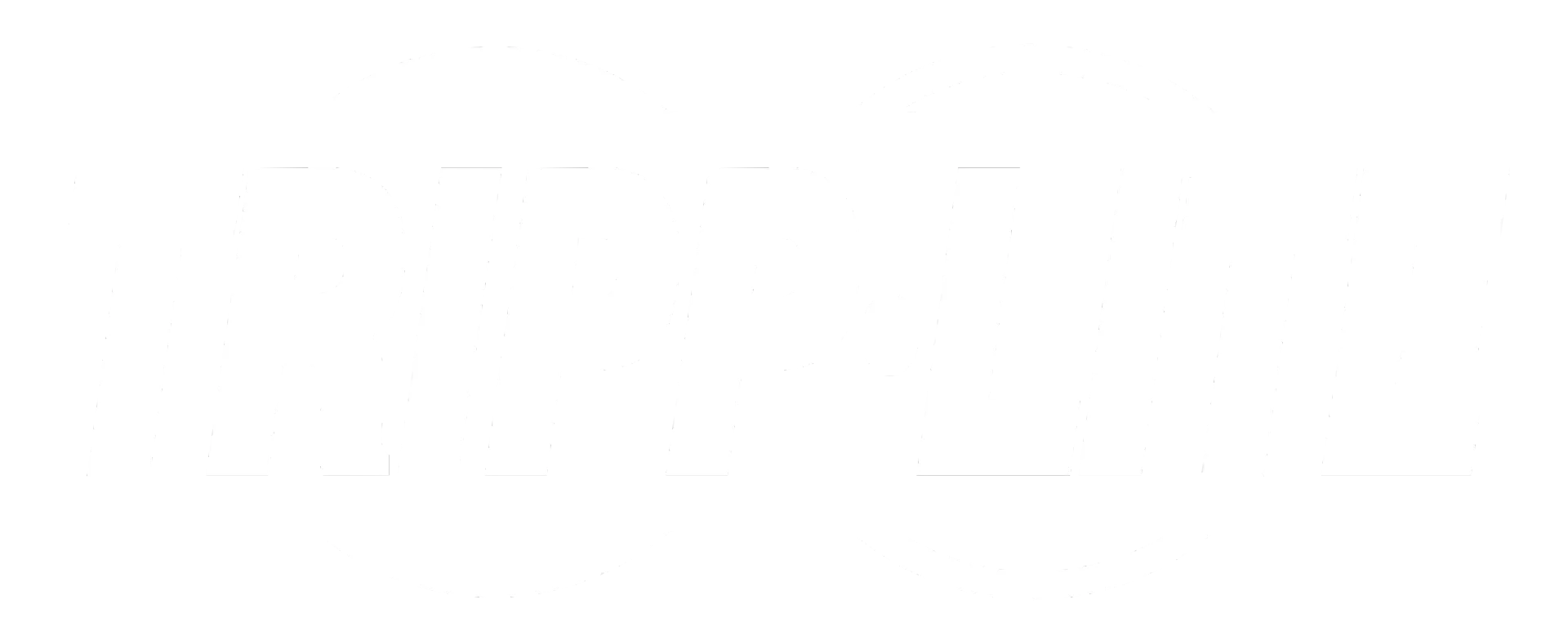 Mostly blank white rectangle with a thin black horizontal line near the bottom.