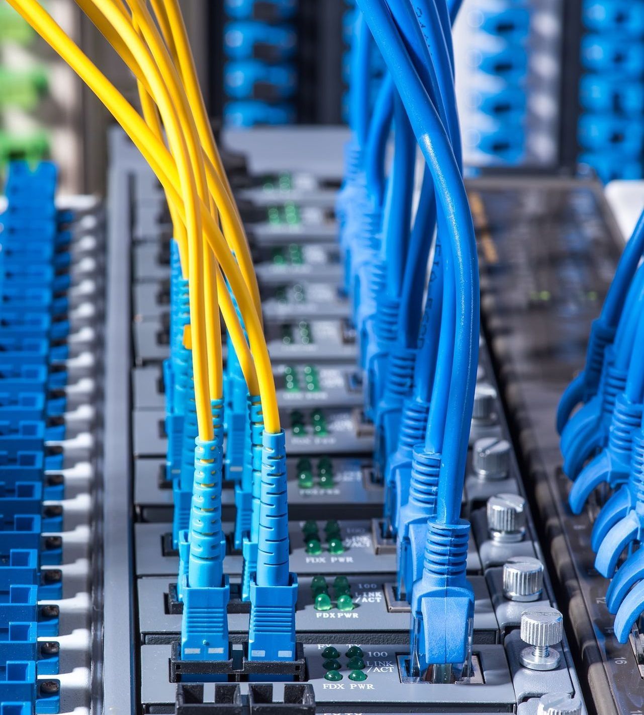 Business grade ethernet cables plugged into server