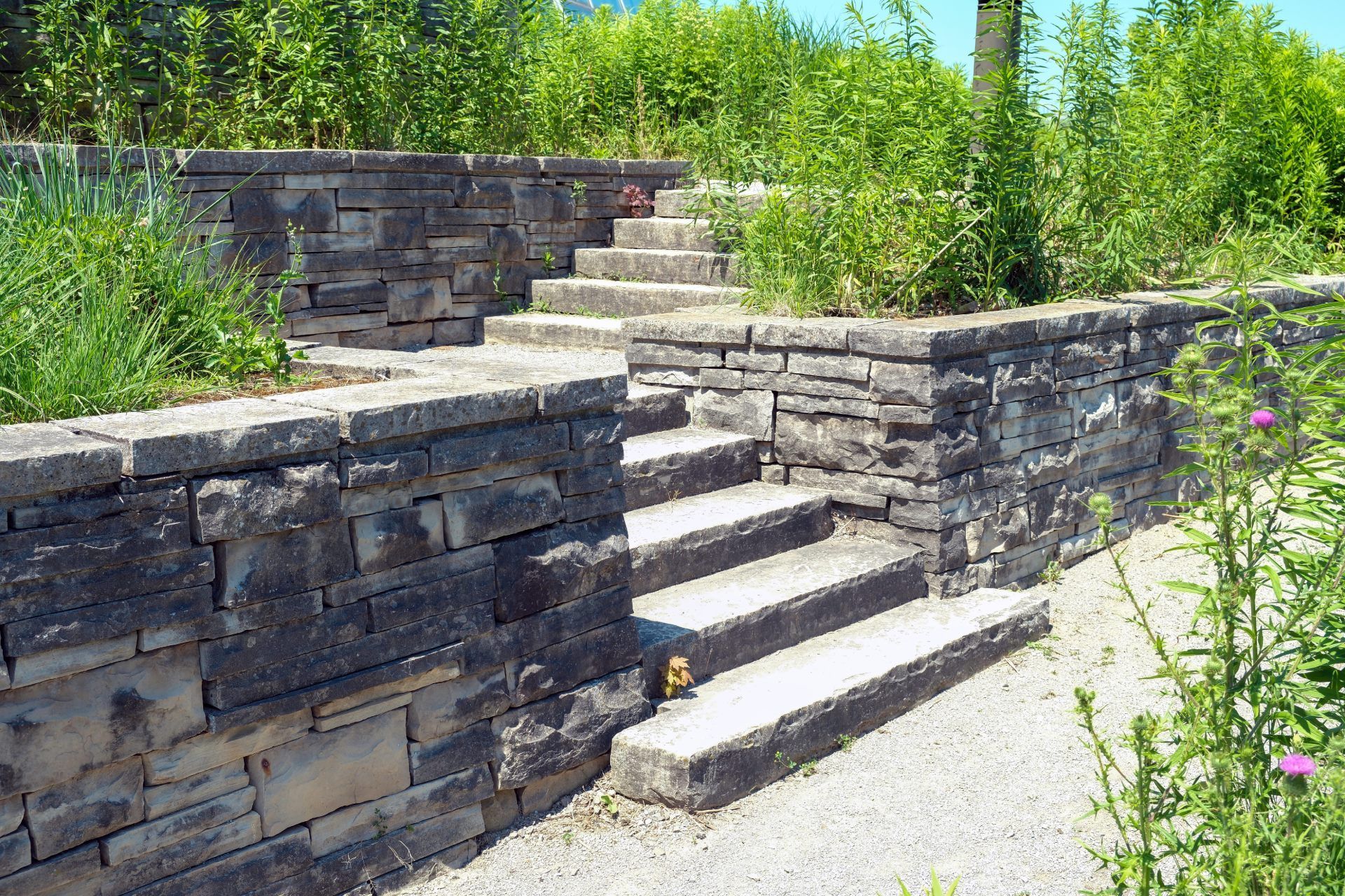 Stone steps leading up, bordered by stone walls and green plants in an outdoor setting.
