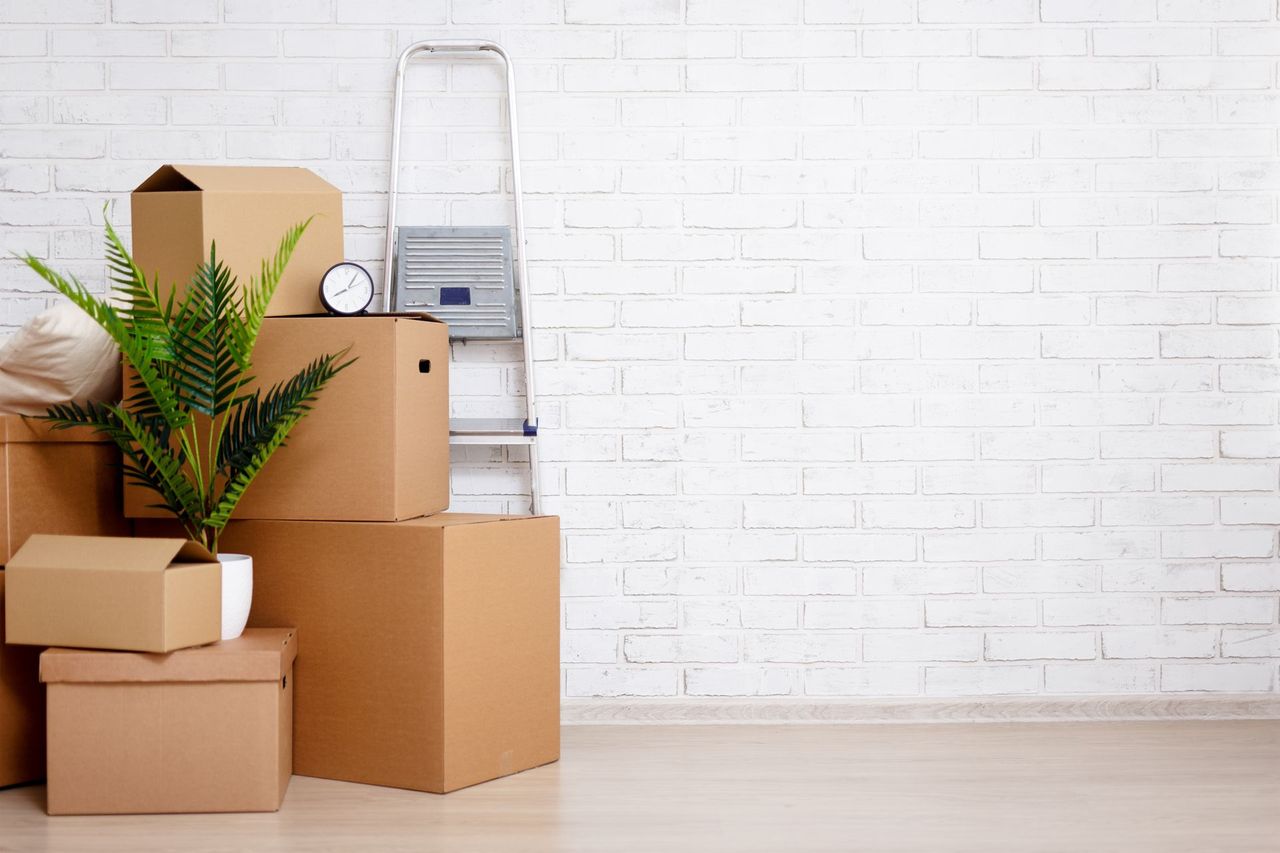 Stacked moving boxes and a potted plant beside a ladder in a bright room with a white brick wall Stacked moving boxes and a potted plant beside a ladder in a bright room with a white brick wall