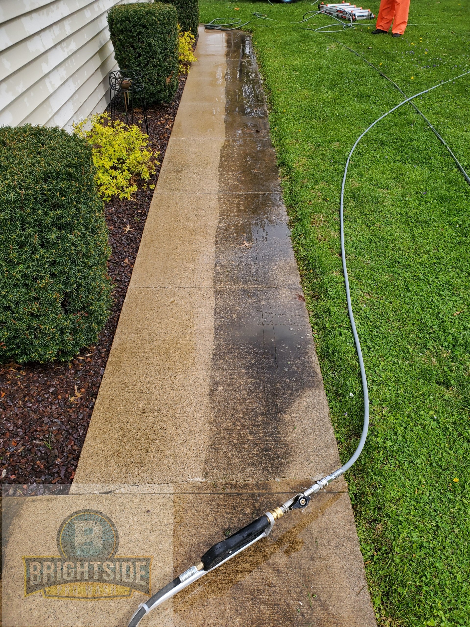 Quincy�s 1 Window Cleaning and Exterior Cleaning Company