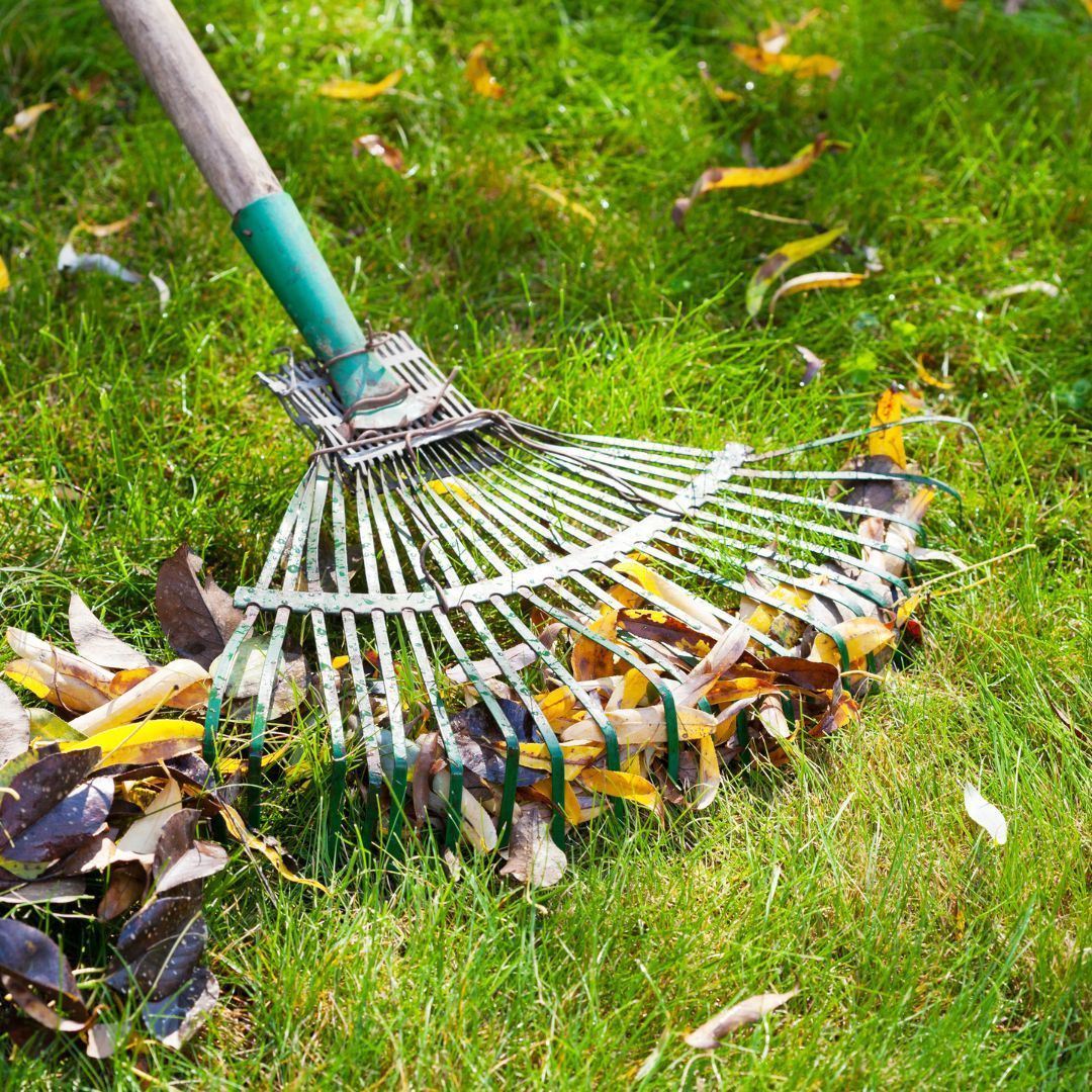 debris pick up lawn maintenance