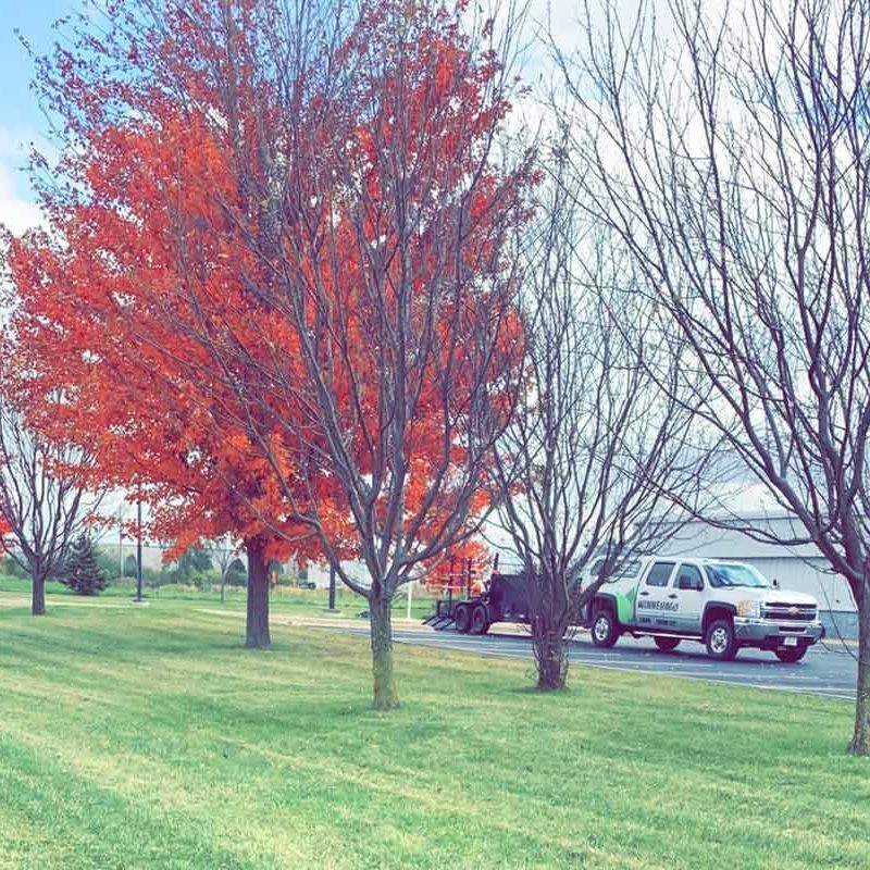 spring fall clean up oshkosh wi