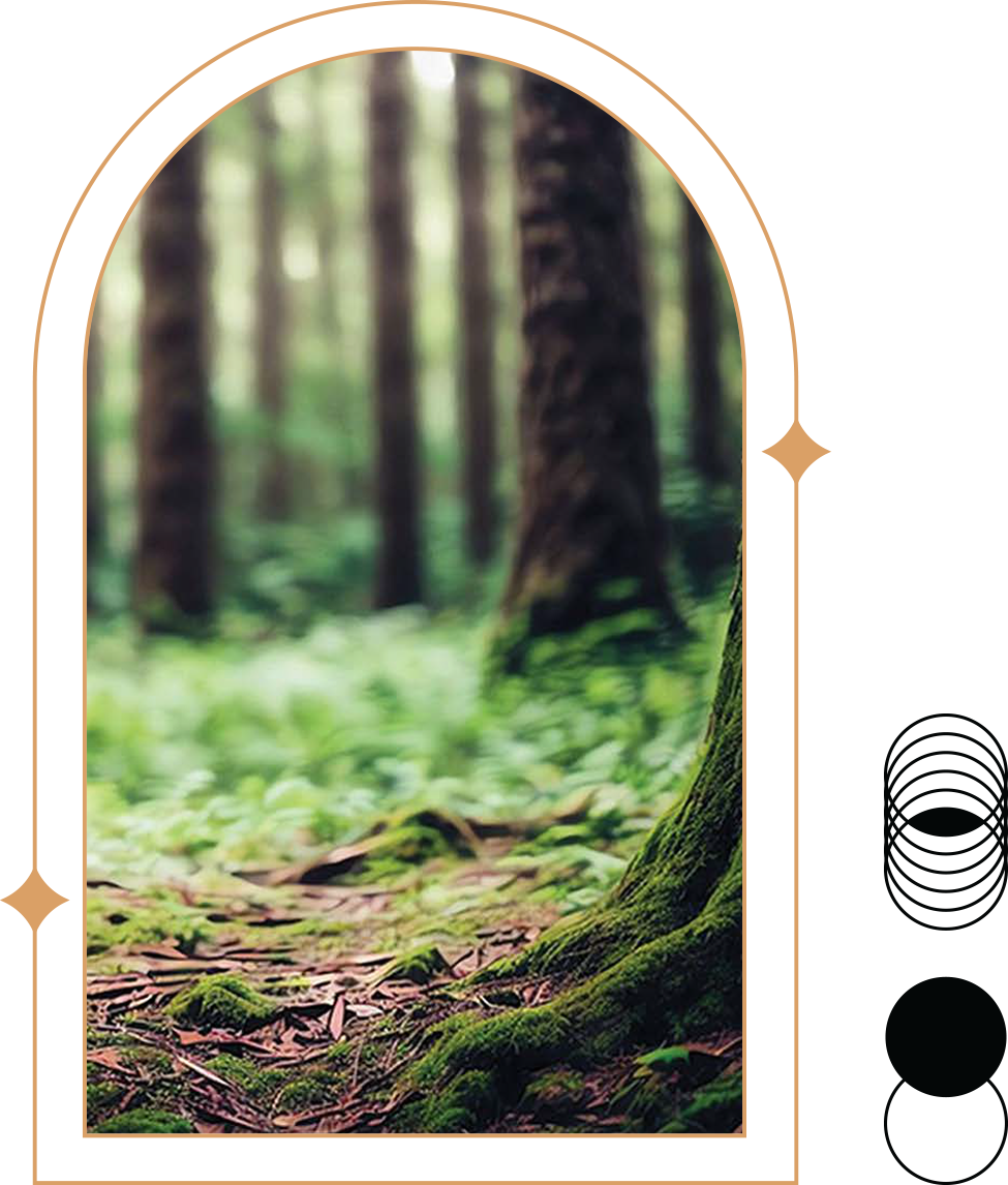 Grand Opening Graphic