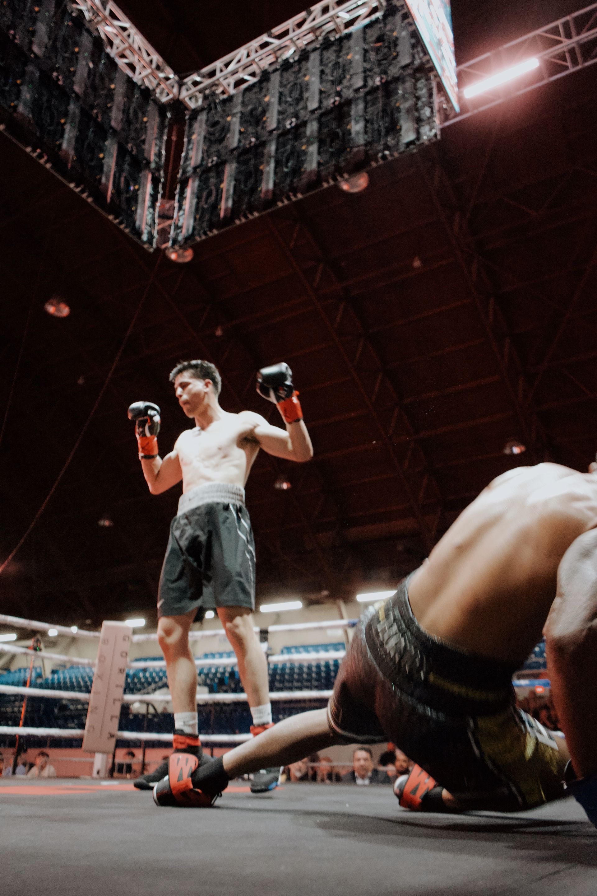 Boxer standing over a knocked-down opponent in a ring, arms raised under arena lights