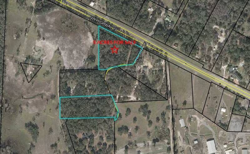 An aerial view of a residential area with lots of trees and a road.