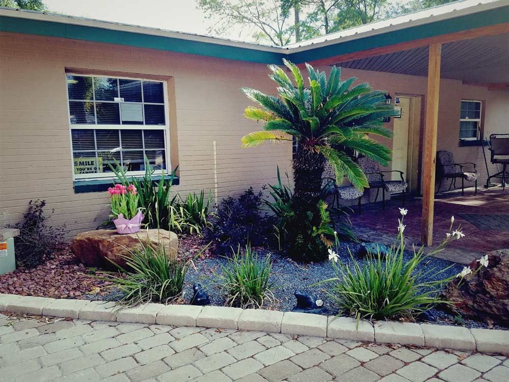 Front yard garden with palms and flowering plants in front of a beige house with a carport