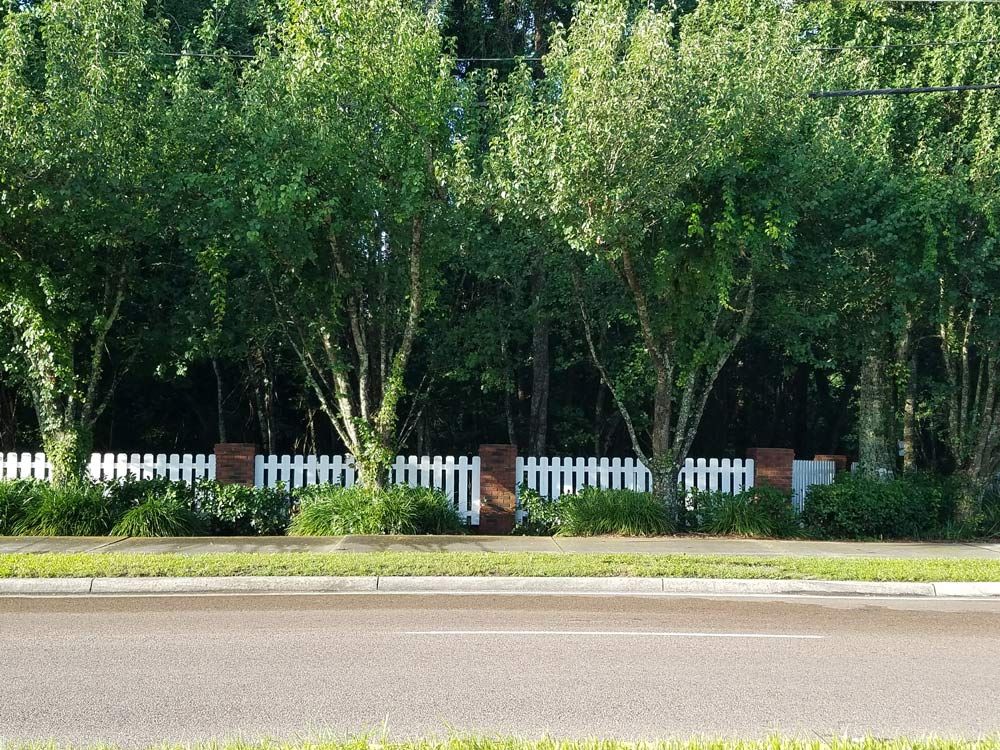 Tree-lined street with white fence and brick wall beside a quiet road