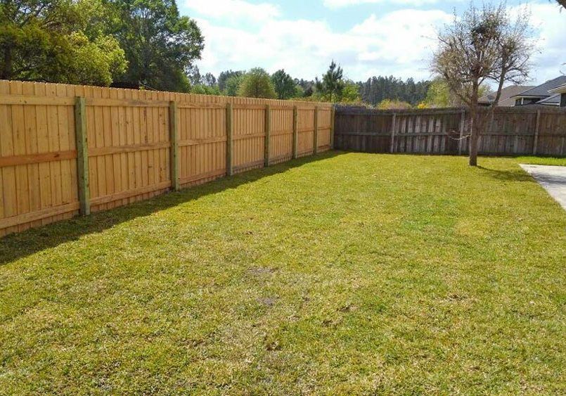 Spacious grassy backyard with a wooden privacy fence and trees along the edge