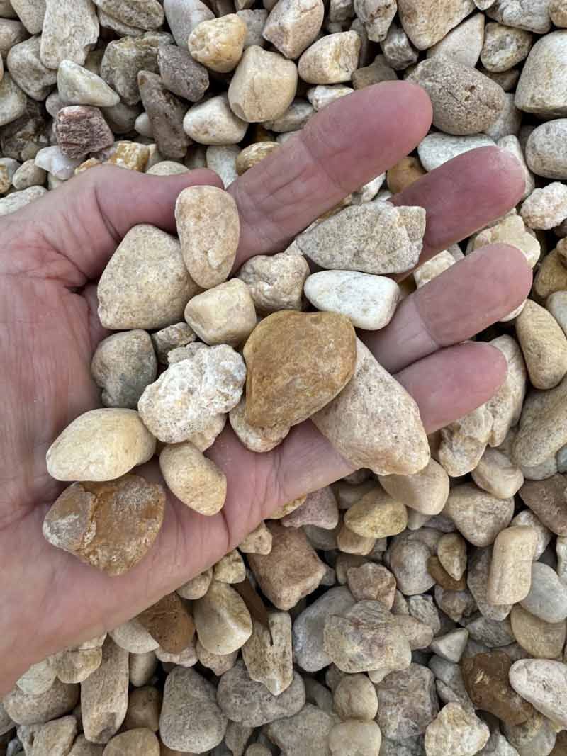 Hand holding small tan and white pebbles over a pile of similar stones