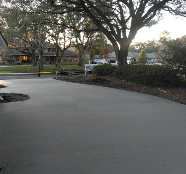 Concrete driveway beside large trees in a quiet residential neighborhood at dusk