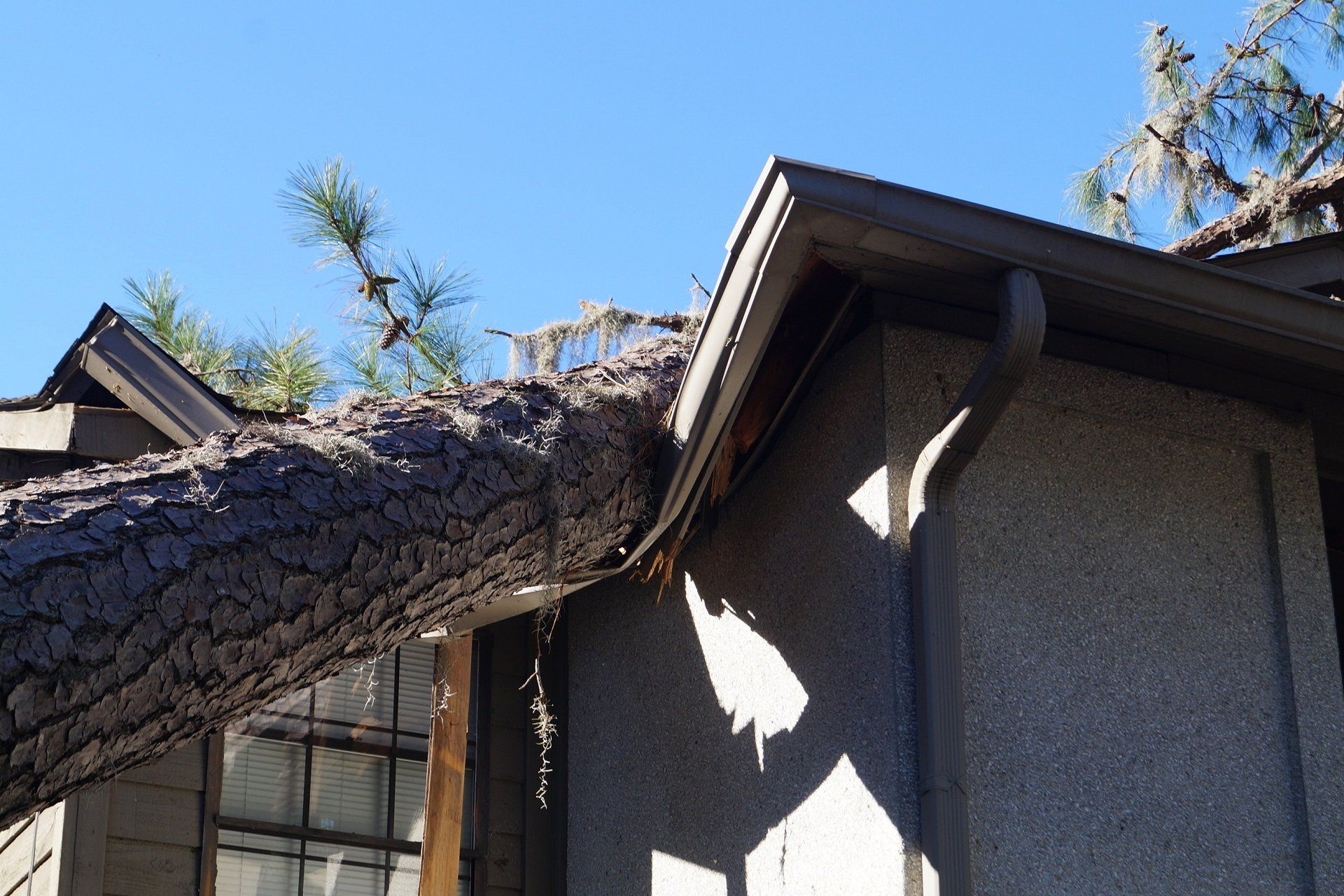 Filing An Insurance Claim For Tornado Damage Fort Myers