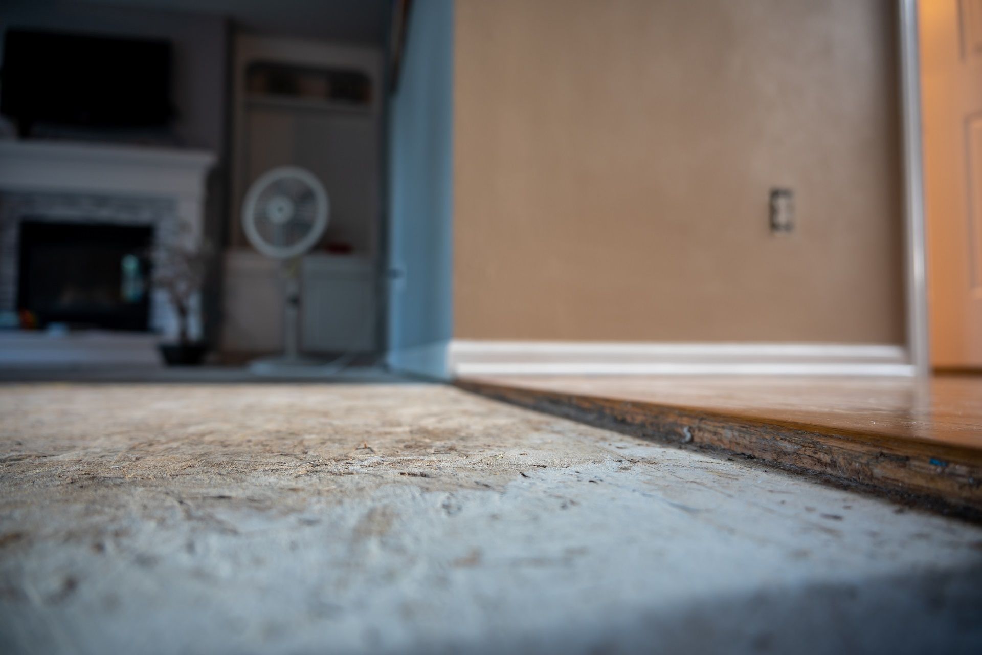 Mold After Water Damage?