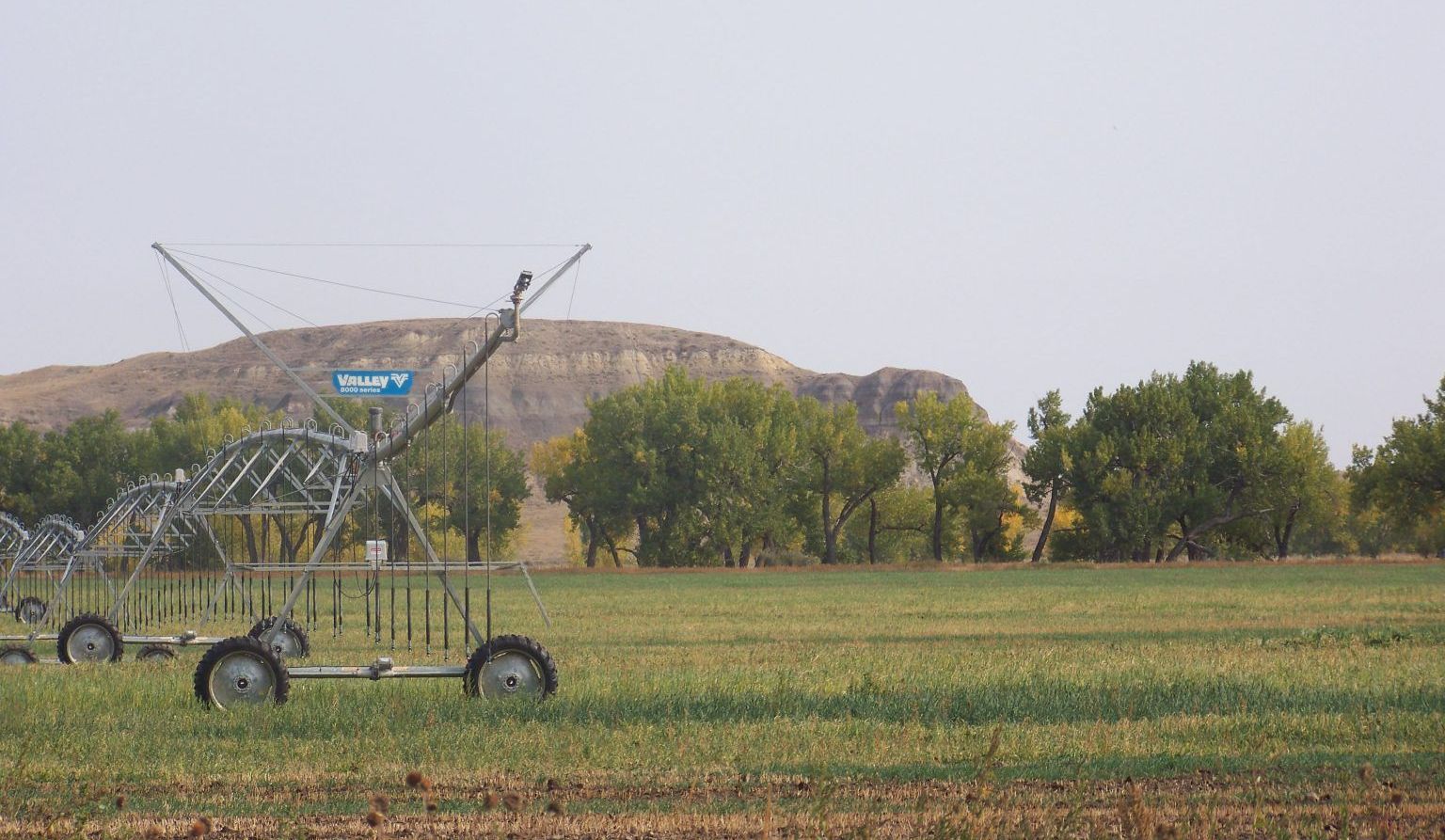 A sprinkler in a field with a mountain in the background