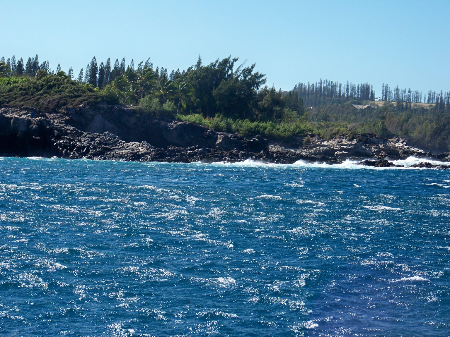 A large body of water with a cliff in the background