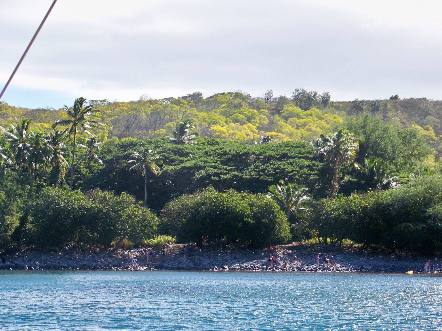 A body of water with trees in the background