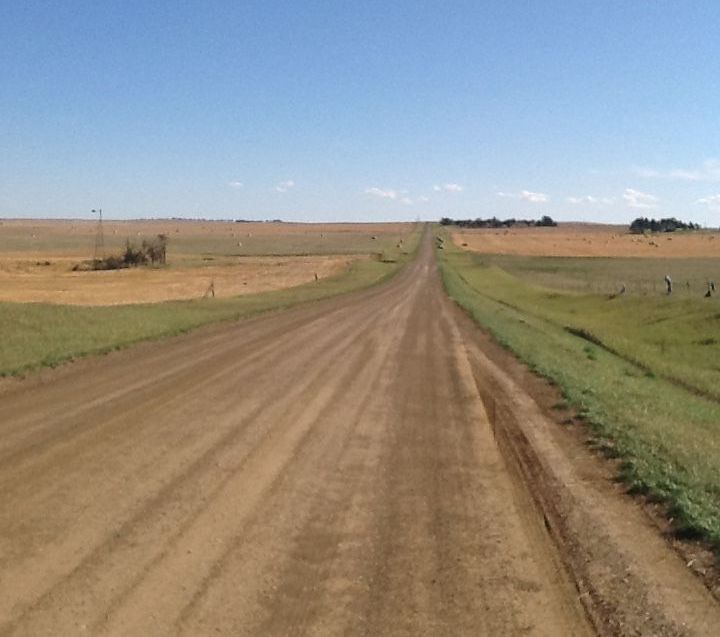 A dirt road going through a grassy field