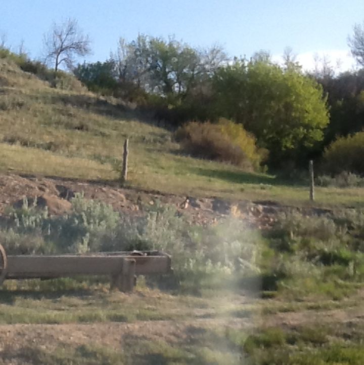 A wooden bench is sitting in the middle of a grassy field.