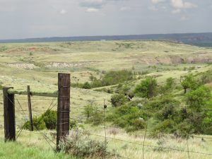 There is a barbed wire fence in the foreground and a landscape in the background.
