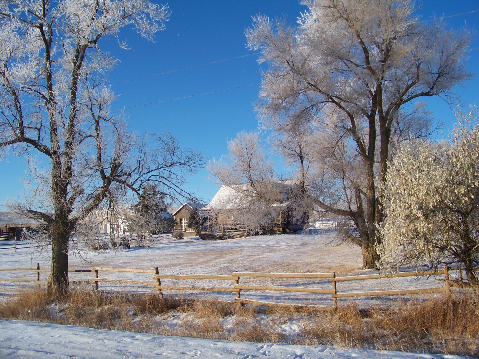 A snowy field with trees and a fence in the foreground