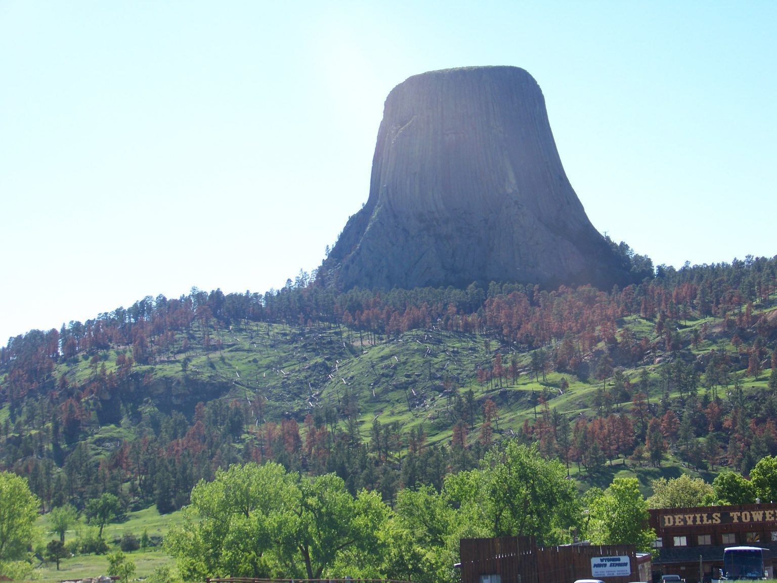 Devils tower sits on top of a hill surrounded by trees